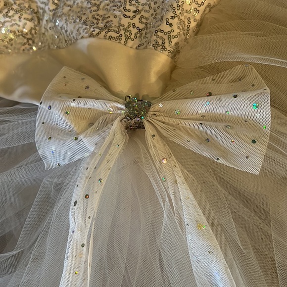 Ballerina Costume - Picture 3 of 5